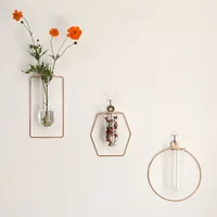 Nordic Wall Hanging Geometric Shape Light Luxury Metal Wrought Iron Test Tube Glass Vase Simple Floral Home Decoration