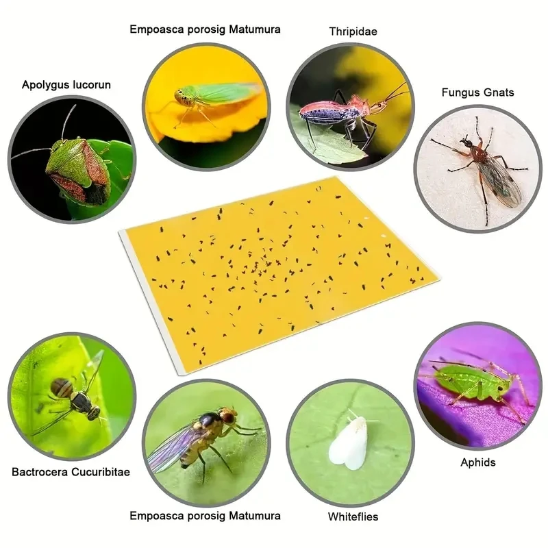 20 шт. двусторонние Желтые Липкие Ловушки для летающих растений