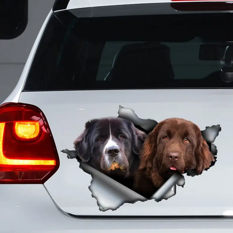 

Newfie car decal, Newfie magnet, Newfoundland sticker, newfoundland print