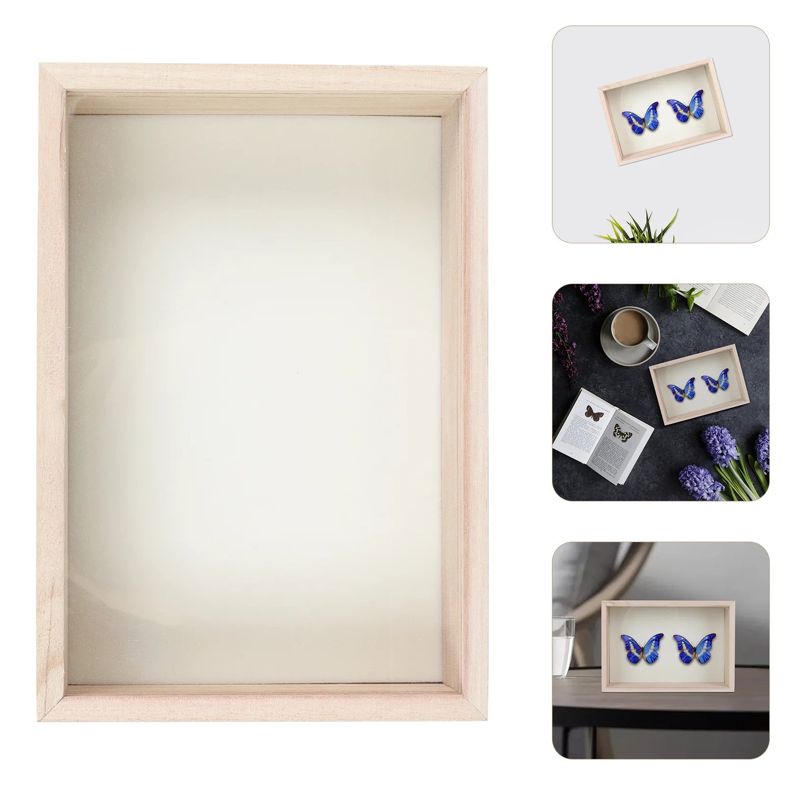 

1pc Geometric Frame Laboratory Equipment Glass Picture Frames Specimen Display Stand Specimen Photo Frame