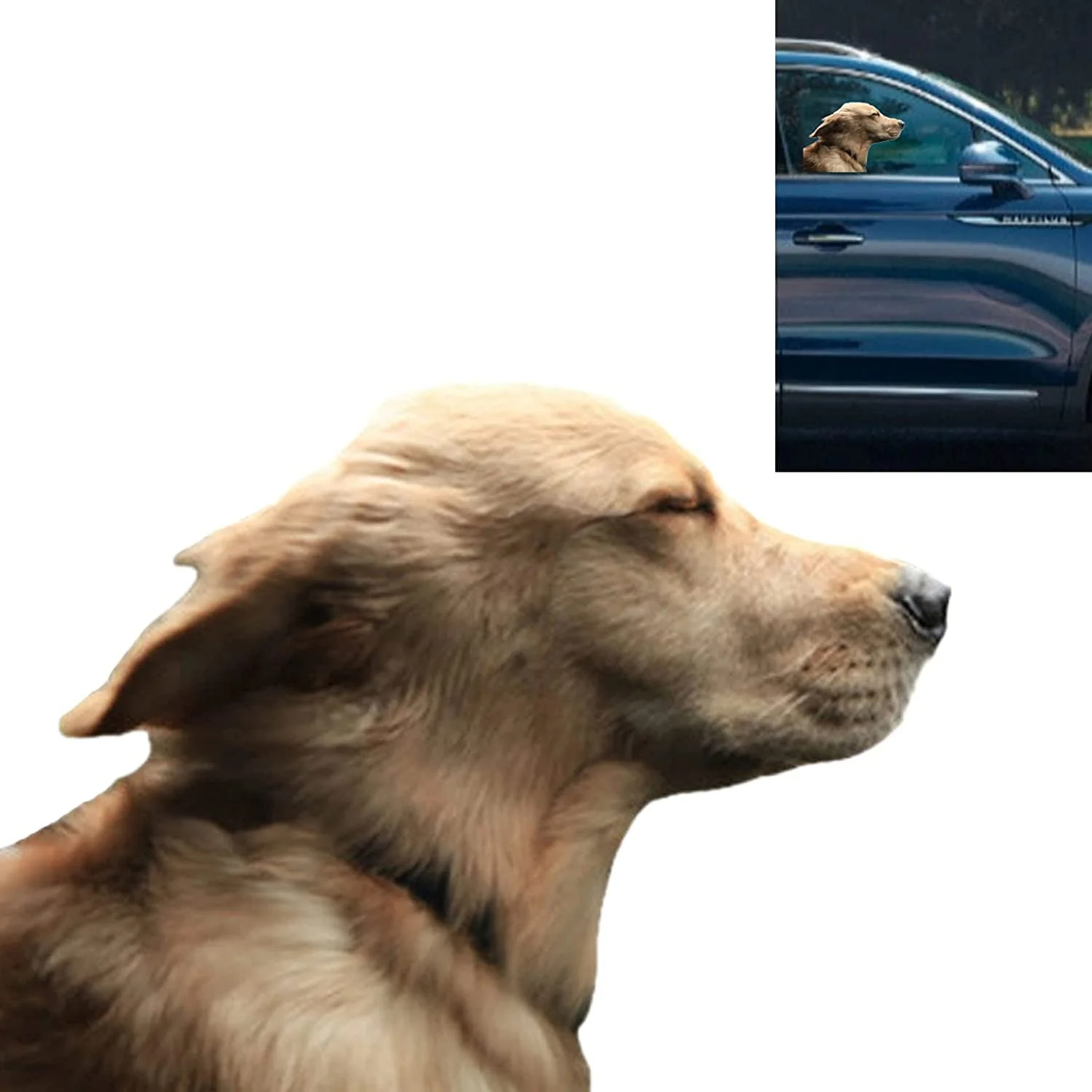 

For 1Pair/2Pcs TGGOT Riders Golden Retriever Car Window Decal Cling Dog Sticker