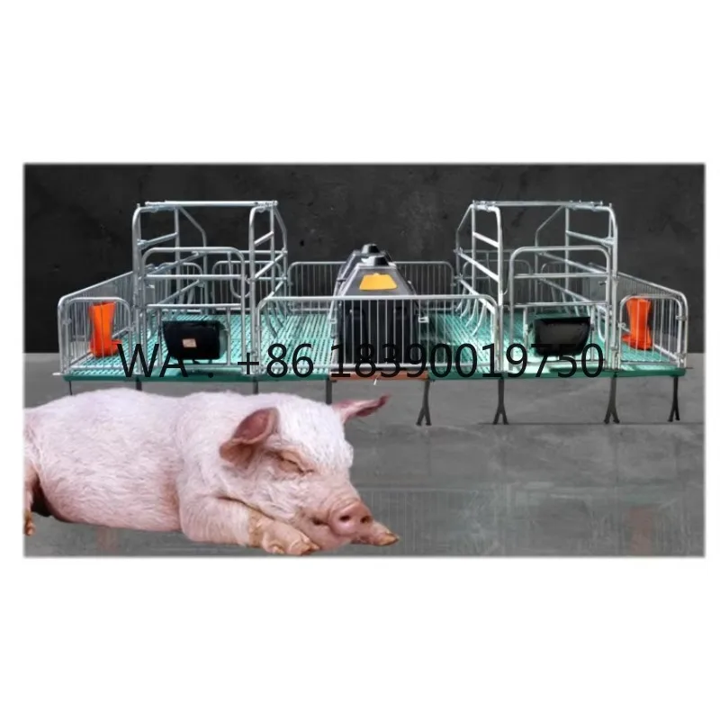 Клетка для отъема поросят AOW: Оборудование для свиноферм, ящики для выращивания поросят, оборудование для свиноводства (art.: 3920db2cacff8) - 3920db2cacff8
