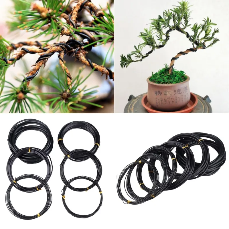 Filo Per Bonsai Totale 5M (Nero) Filo Per Addestramento Bonsai In Alluminio Anodizzato, 5 Dimensioni (1.0Mm, 1.5Mm, 2.0Mm, 2.5Mm, 3Mm) Per Forme Di Pi