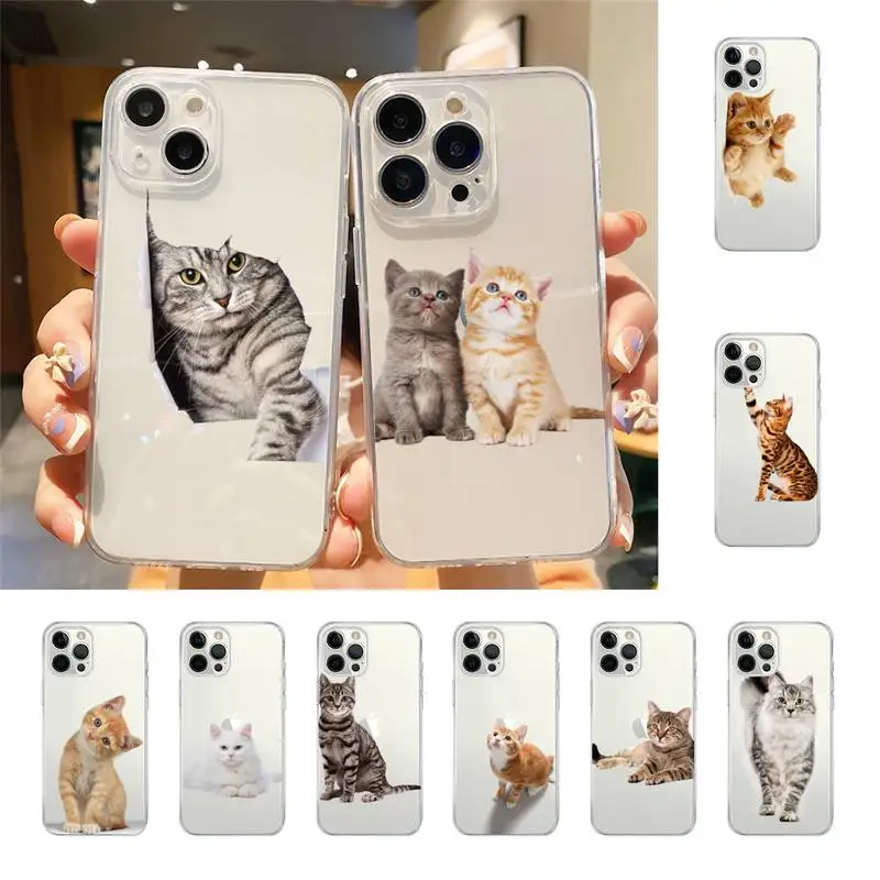 

Lovely Cat Animal Soft Phone Case For Iphone 7 8 Plus X Xr Xs 11 12 13 Se2020 Mini Mobile Iphones 14 Pro Max Case