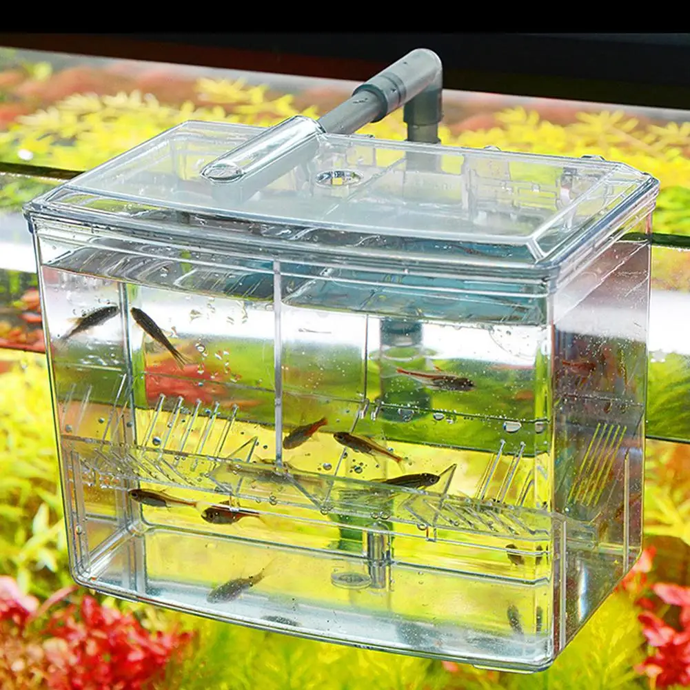 

Pet Fish Outer Hanging Alga Breeding Box Incubator Isolation Nursery House Aquarium Accessaries