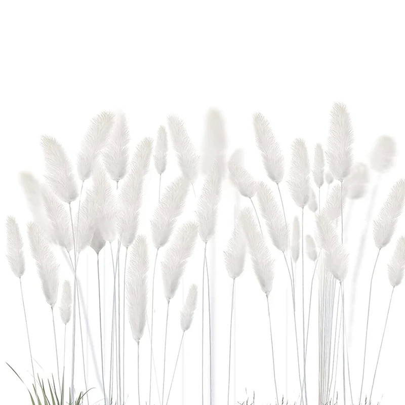 

120 Dried Bunny Tail Rabbit Grass Stems, Dried Rabbit Grass Naturally Dried Natural For Bohemian Home Wedding Decor