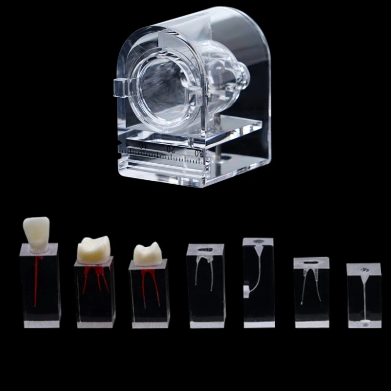 Модель для обучения корневому каналу эндодонтические блоки эндонтические