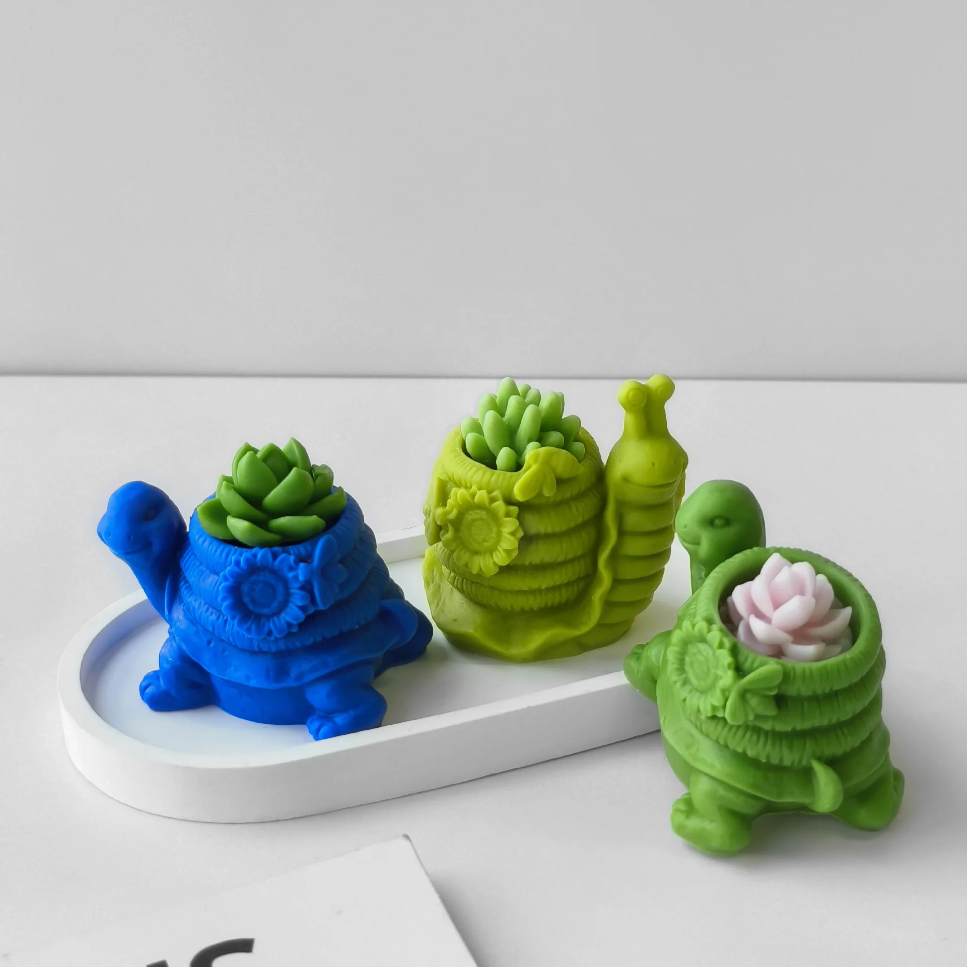 DIY улитка черепаха суккулентное растение в горшке пластырь цветочный горшок