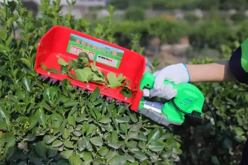 Портативная машина для забора чая UM мини-триммер с литиевой батареей продажи