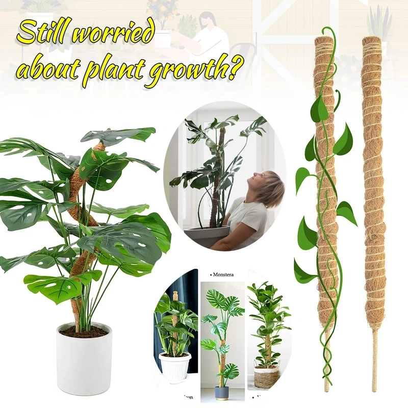 

Coconut Poles Plant Cages Climbing Pole Moss Stick Coir Moss Palm Vines Stick Diy Reusable Plant Creepers Garden Courtyard FU