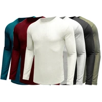 mens spring long sleeve tops tight bottoming tunics man basic v neck casual soft shirt male daily fashion solid tees new s 2xl
