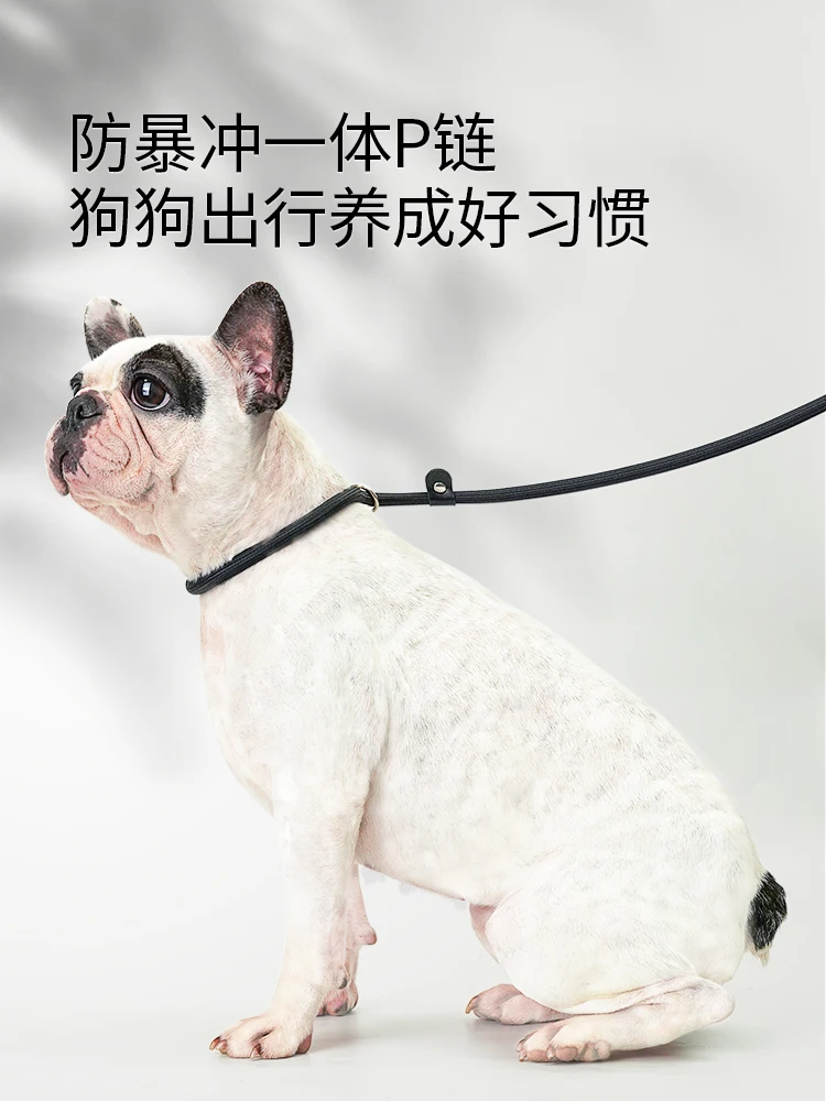 

Dog leash P chain dog collar integrated dog chain P rope dog leash Teddy explosion-proof punch small dog walking rope