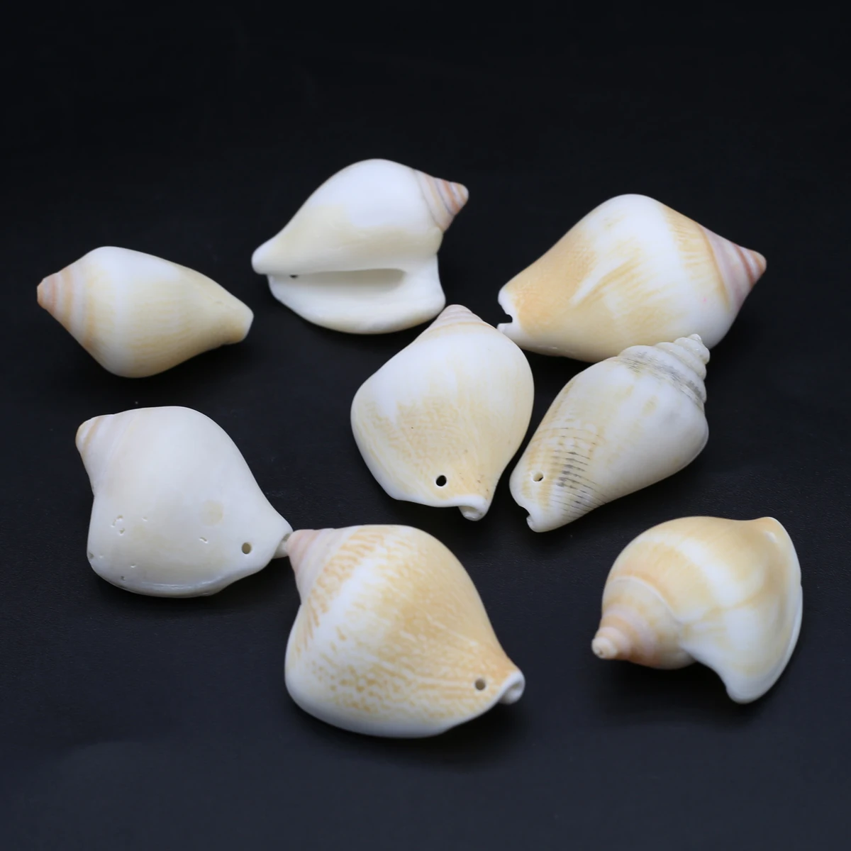 10 шт./лот бусины из натуральной ракушки раковины россыпью для изготовления