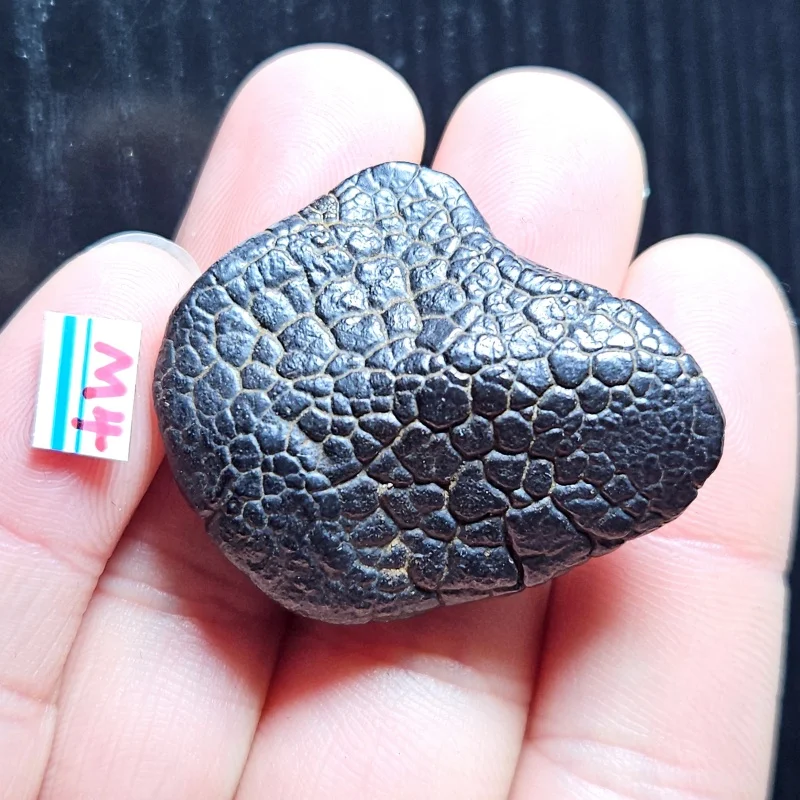 

Железный метеорит Gobi Beach Stone