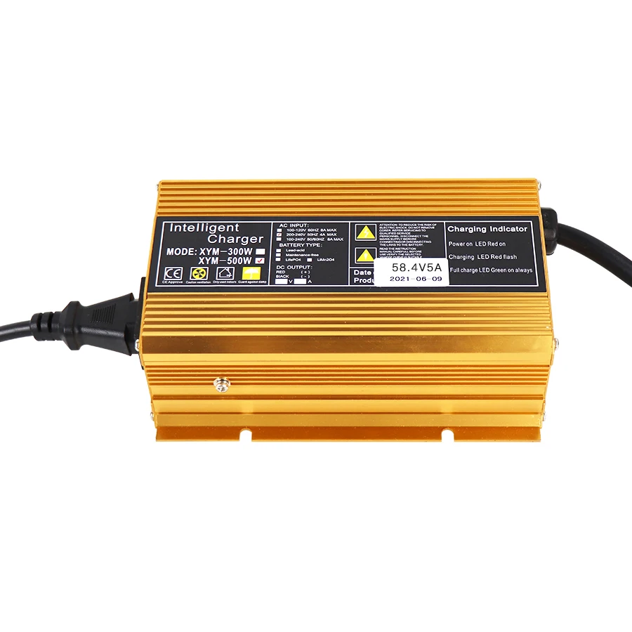 

48V5Alifepo4 Li-ion Smart Portable Charger
