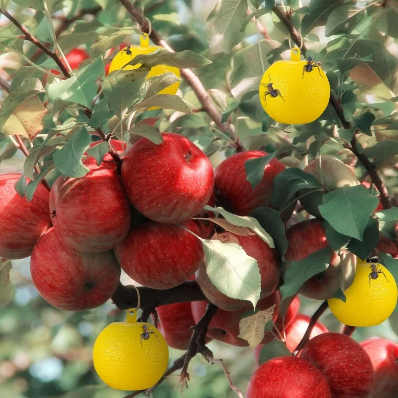 6 шт. липкий мяч-ловушка для насекомых клейкий мяч ловли ловушка (зеленый желтый)