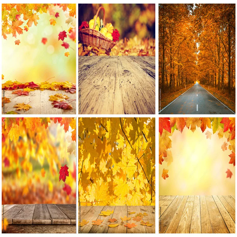 

Vinyl Custom Natural Scenery Photography Background Fall Leaves Forest Landscape Travel Photo Backdrops Studio Props QQTT-09