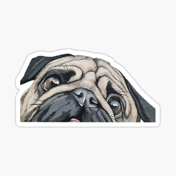 

Автомобильная наклейка для мопса irбезрукавного типа 17 см N7