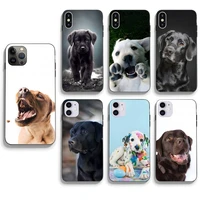 labrador dog phone case for iphone 13 12 11 pro max mini xs x xr 7 8 6 6s plus se 2020 fundas shell cover
