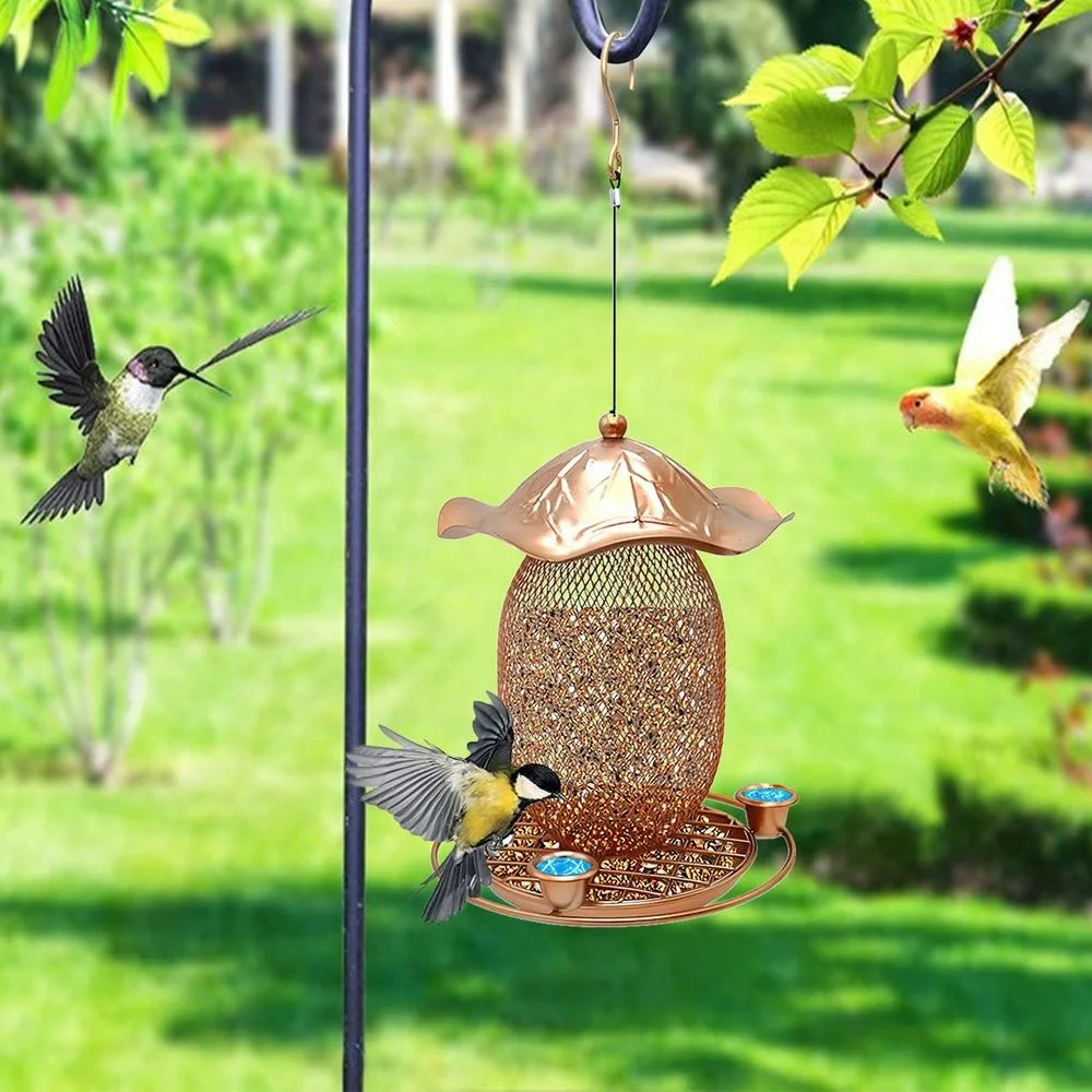 

Metal Hummingbird Feeders Outdoors Hanging Iron Wild Bird Squirrel Feeder Parrot Parakeet Accessories Backyard Garden Decor Gift