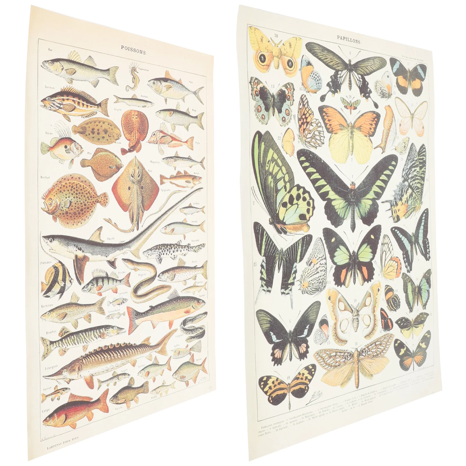 

2 Pcs Decorative Picture Canvas Wall Home Wear-resistant Posture Vintage Poster Room Delicate