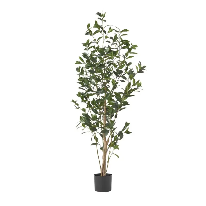 

5.5' x 2' Artificial Tabletop Laurel Tree, Green