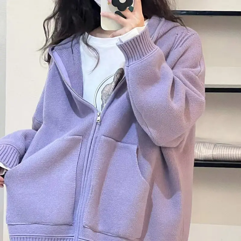 

DAYIFUN Purple Knitted Cardigan Women Zip Up Elegant Casual Sweet Autumn Winter Hooded Sweaters Loose Harajuku Fashion Tops