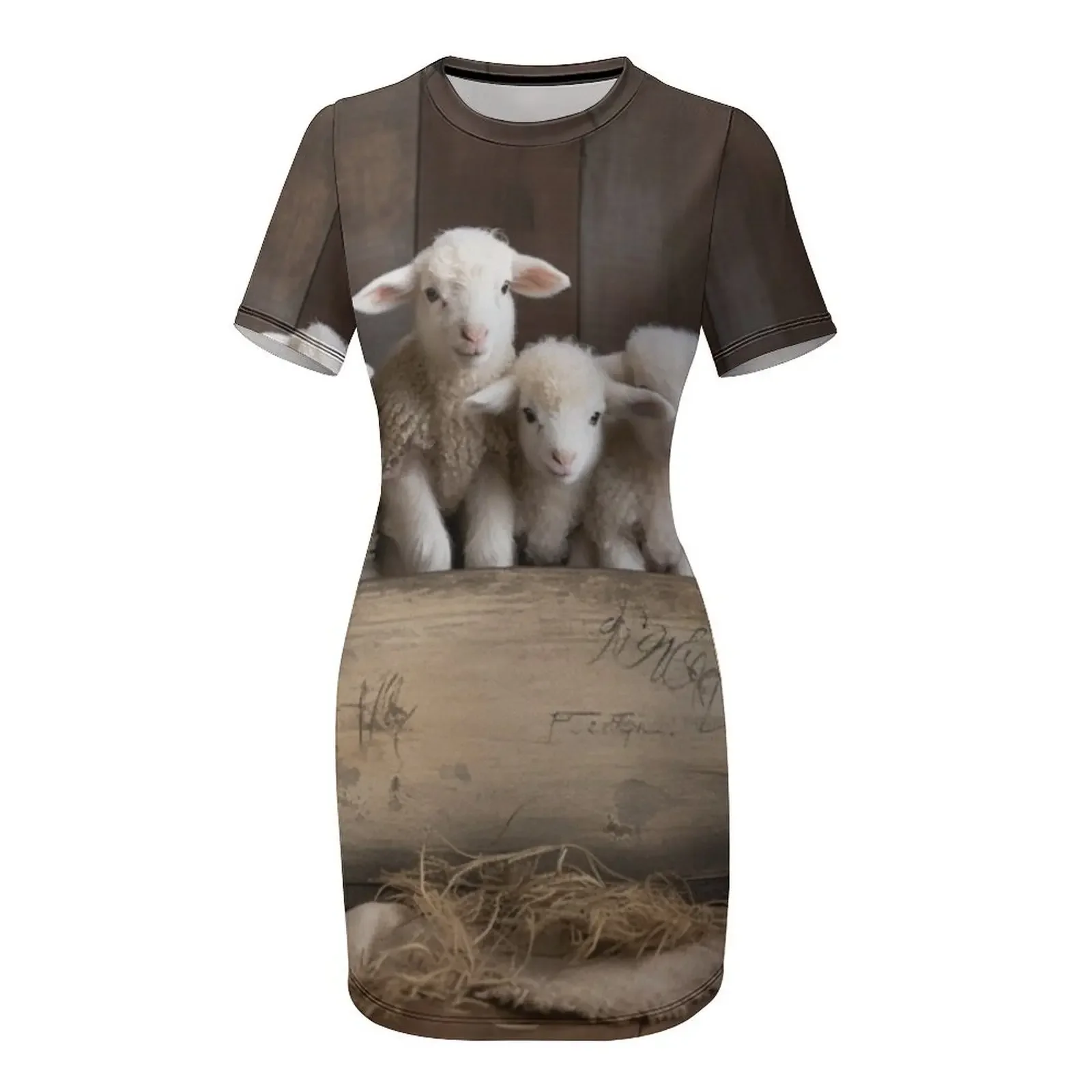 Фото Lamb Haven: Сказки о любви и чудесах в деревянной коробке. Платье с короткими рукавами. Летняя женская одежда. Летнее платье на каждый день. №4