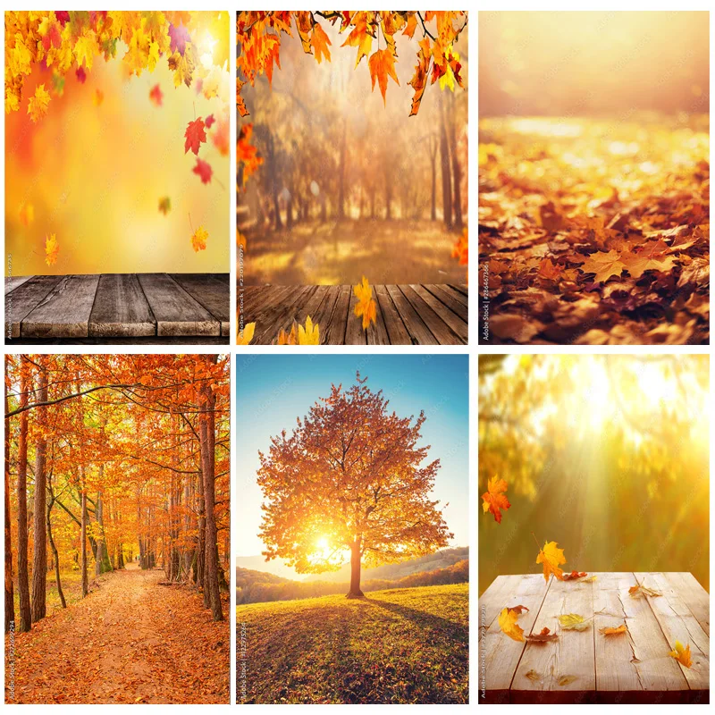 

Natural Scenery Photography Background Fall Leaves Forest Landscape Travel Photo Backdrops Studio Props 211224 QQTT-10