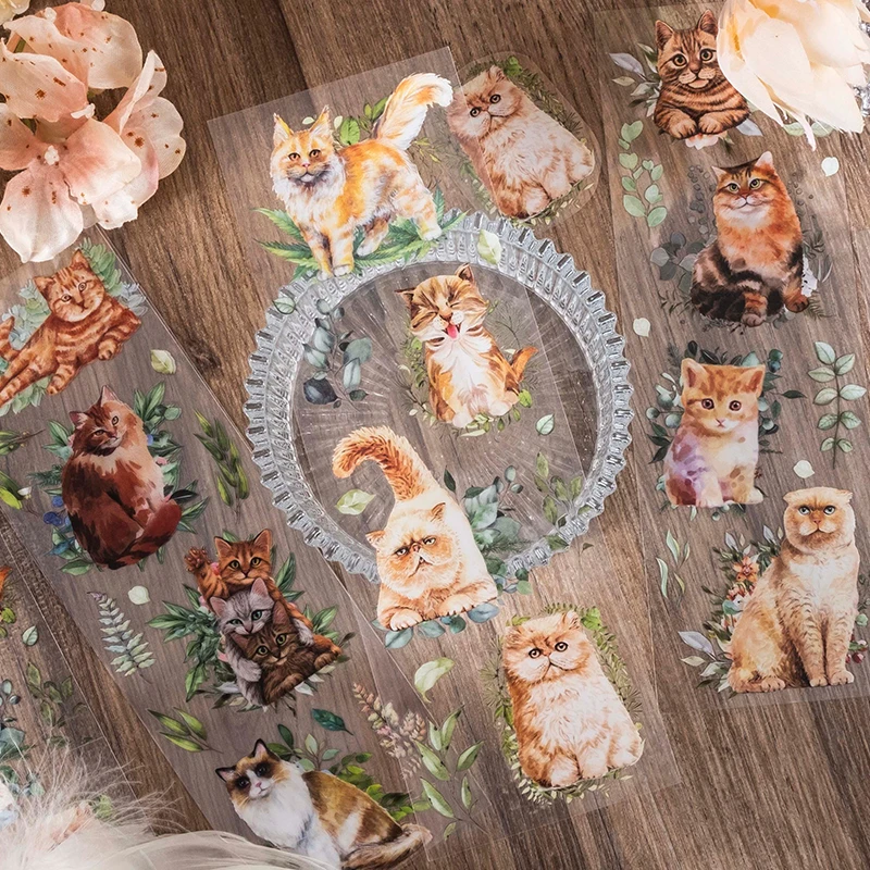 6Pcs Per Pack PET Stickers Cat Cute theme decorative animals DIY Multiple School Supplies Journal Scrapbooking 228*67mm