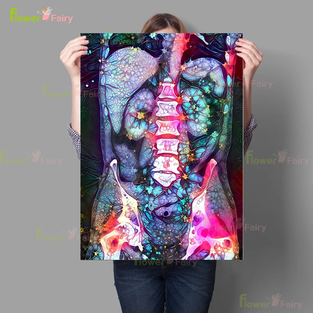 

Анатомия позвоночника медицинский постер