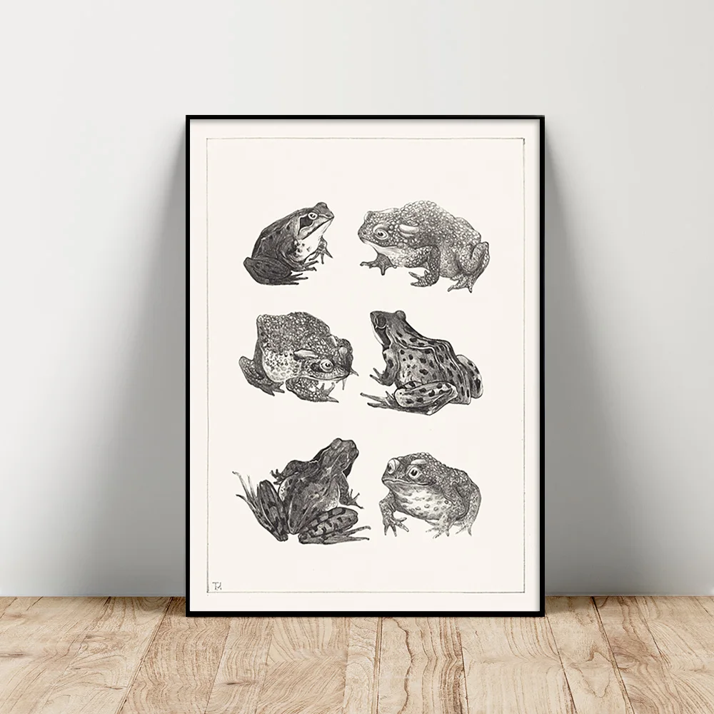 

Theo Van Hoytema Exhibition Museum Print Art Poster Frog Toad Canvas Painting Animal Wall Stickers Decor