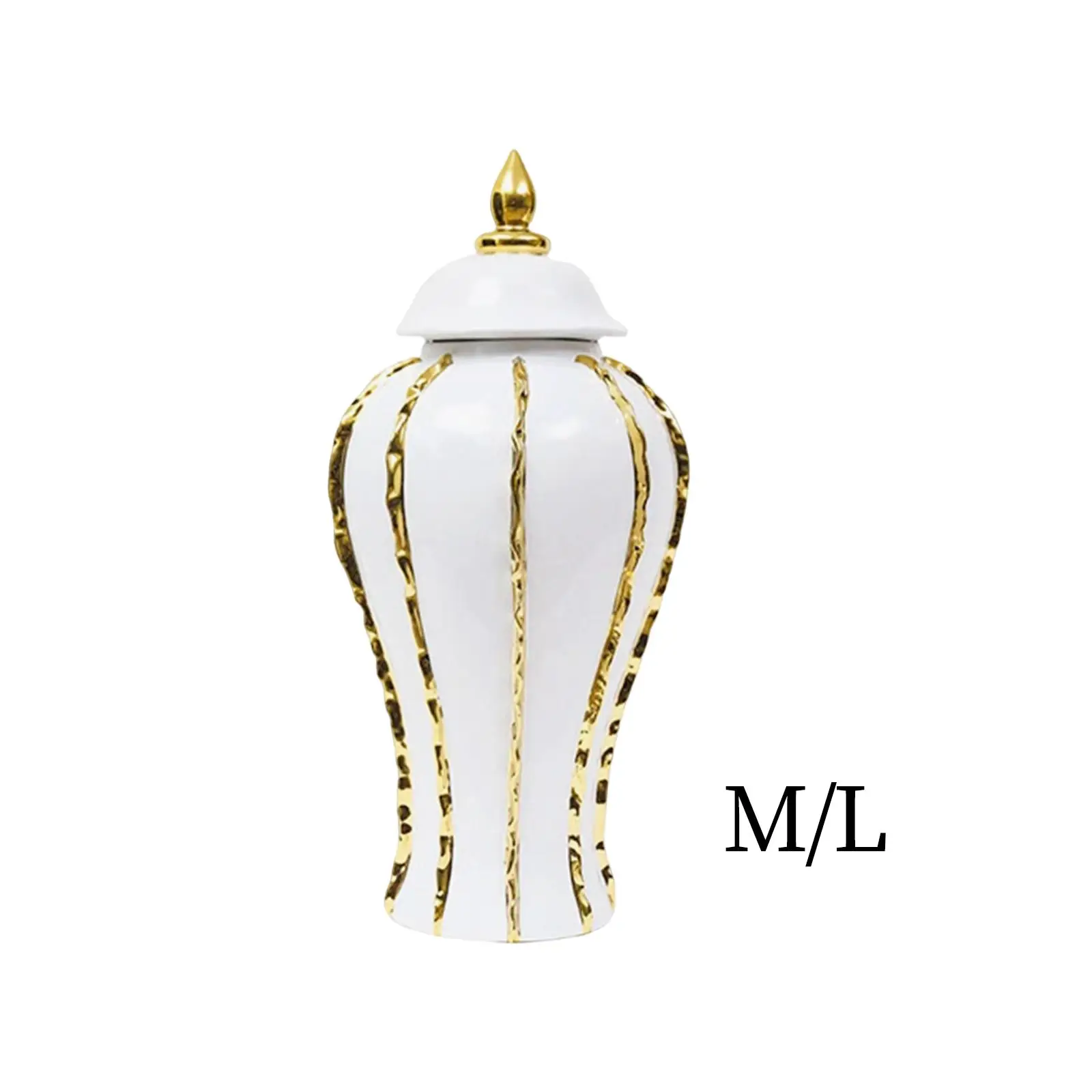 

Porcelain Ginger Jar Ceramic Flower Vase for Storage Tank Livingroom Office