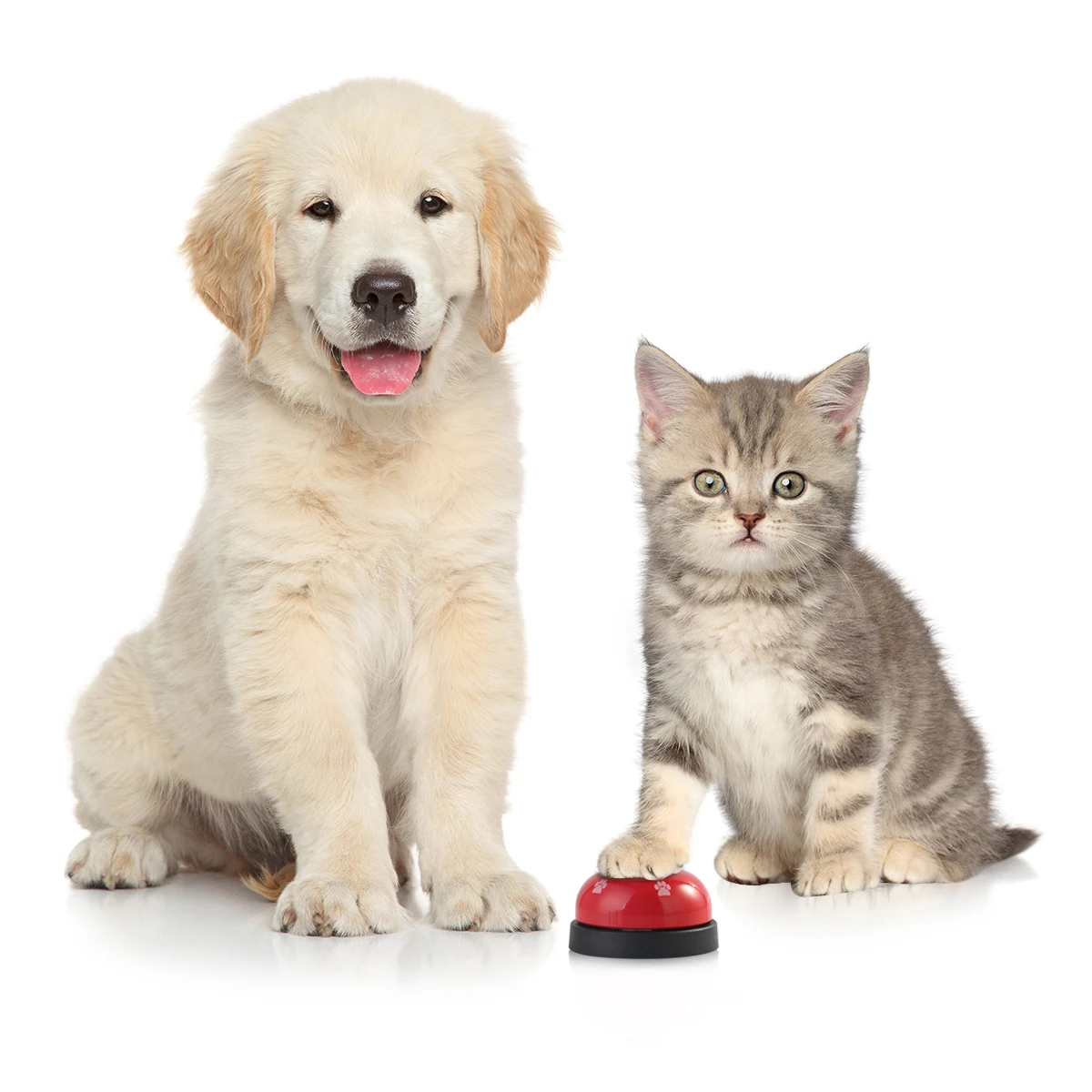 

2 X Pet Dogs Footprint Training Bell Cats Puppy Dinner Feeding Ring Interactive 2