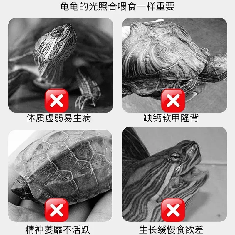 Фото Лампа для черепах Turtle Sun: УФБ-лампа для обогрева, полноспектральная, малая. №5