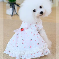 2022 dog dress strawberry lace dog skirt spring summer pomeranian teddy yorkshire corgi bichon shih tzus costume drop shipping