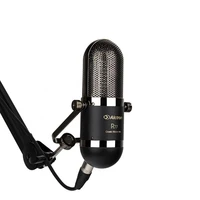 alctron r77 musical instrument condenser mic studio microphone for dubbing recording live broadcast performance prodcast singing