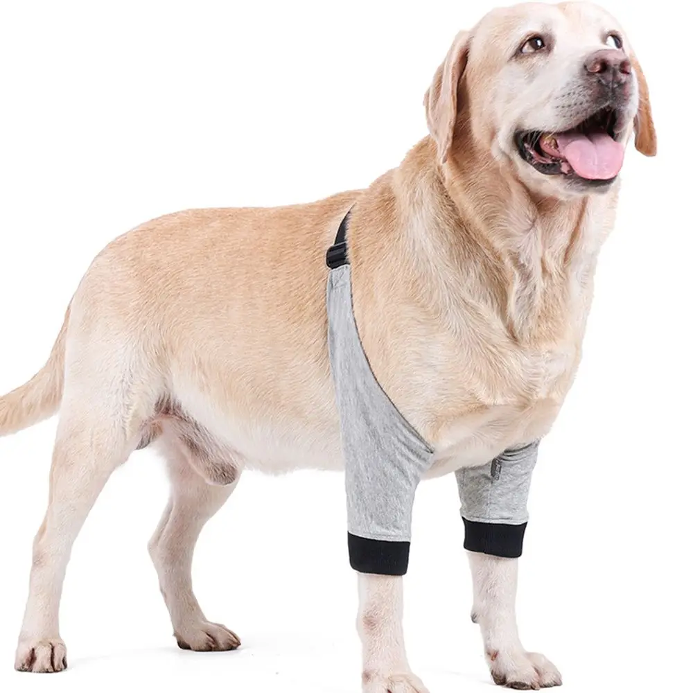 

Knee Pad Protect Joints Anti-Lick Joint Warm Pet Front Leg Protective Sleeve Dog Leg Sleeve Front Leg Braces