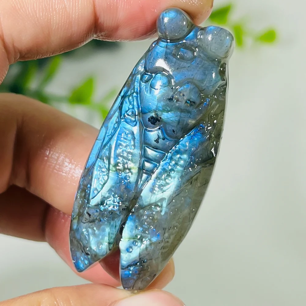 

Скульптура лабрадорита с цикадой