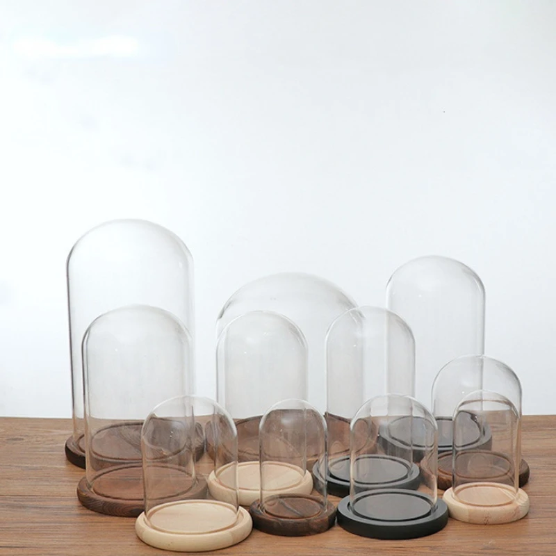 Стеклянный купол Колокол с черным угольным горением/деревянная основа цветочный