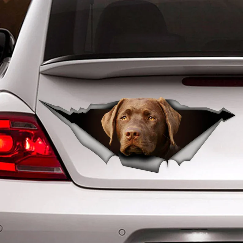 

Weimaraner car decal , pet decal, Vinyl decal, weimaraner sticker, funny decal, dog sticker