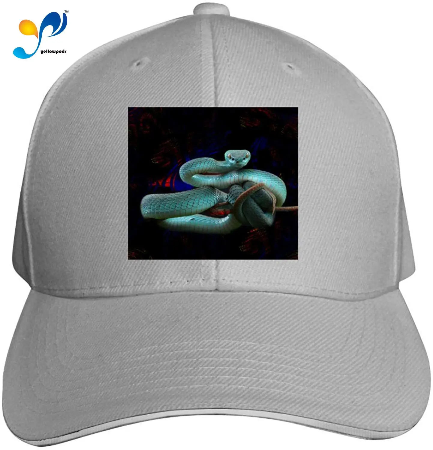 

Funny Plain Hat Blue 3D Snake Classic Arc Dome Sandwich Professional Cap