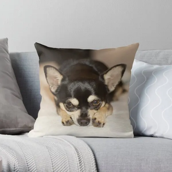 

Chihuahua Cute Printing Throw Pillow Cover Square Car Sofa Anime Soft Bedroom Decorative Fashion Fashion Pillows not include