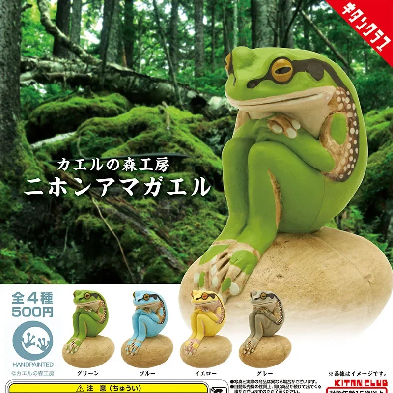 

Japanese Genuine Gacha Scale Model Hyla Postulata Frog Sitting on Stone Simulation Garden Decoration Action Figure Toy