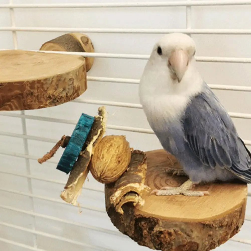 

Игрушка-попугай, полезная, сильная твердость, не раздражающая птица, попугай, искусственная игрушка для птиц