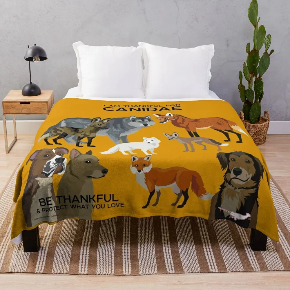 Я благодарен за диванное одеяло Симпатичные клетчатые одеяла