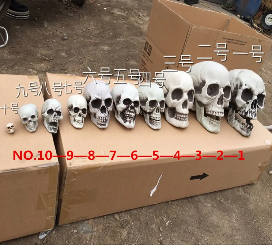 Имитация человеческого черепа модель Хэллоуина Оформление интерьера украшение