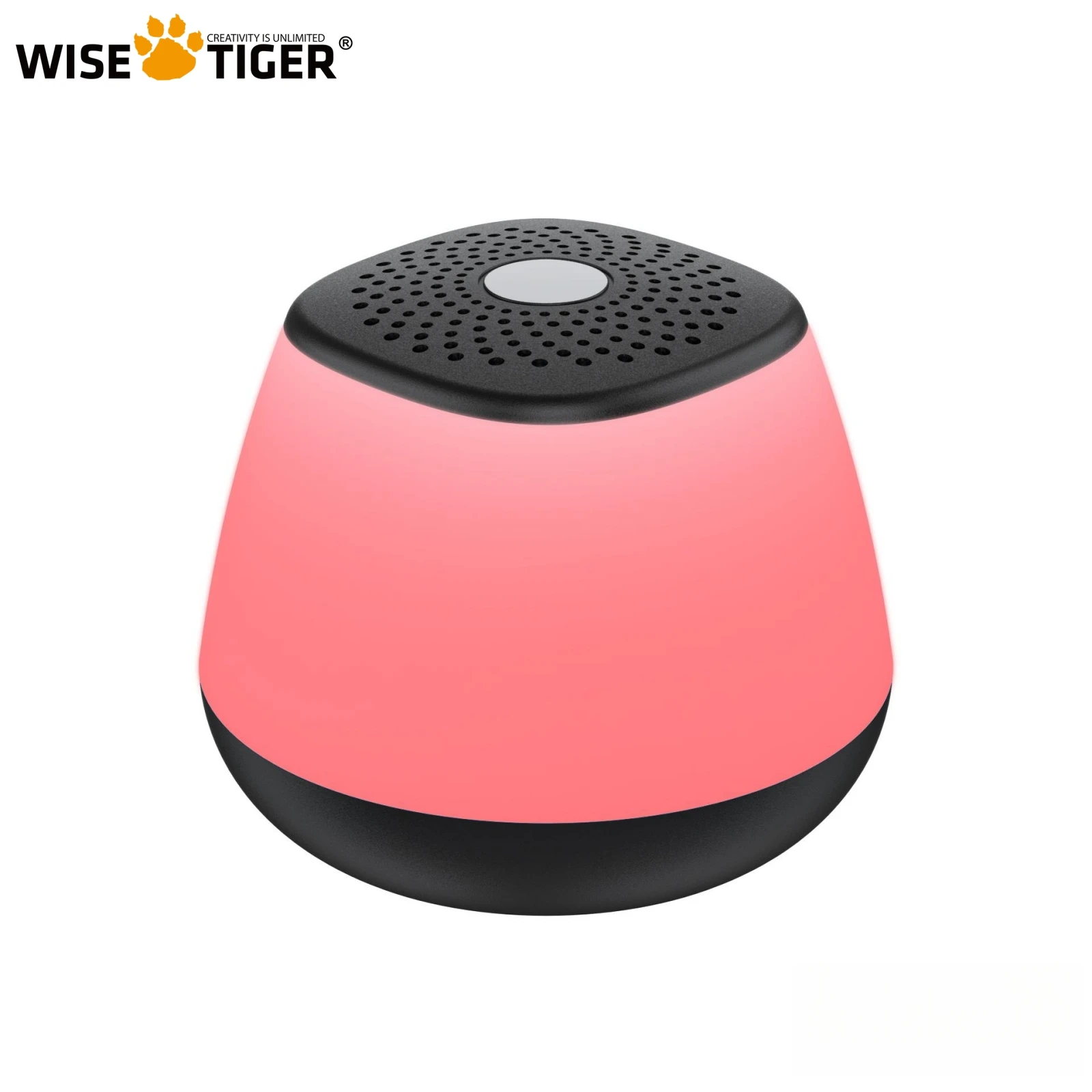 Портативный Bluetooth-динамик WISE TIGER, беспроводной динамик со слотом для TF-карты RGB, BT5.1, настольный аудио, громкая связь, для улицы