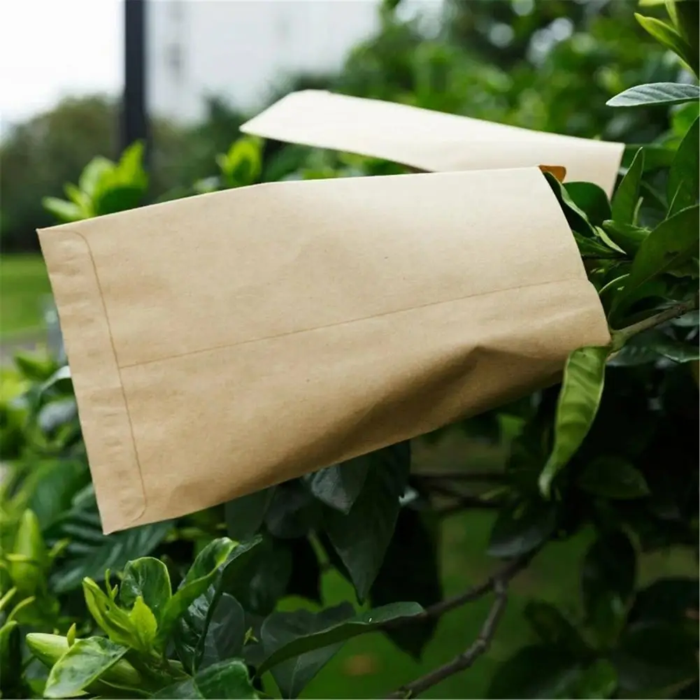 100/200Pcs Kraft Paper Seed Protective Envelope Storage Bags E Bags Mini Envelopes Packets Nvelopes Packets Garden Home