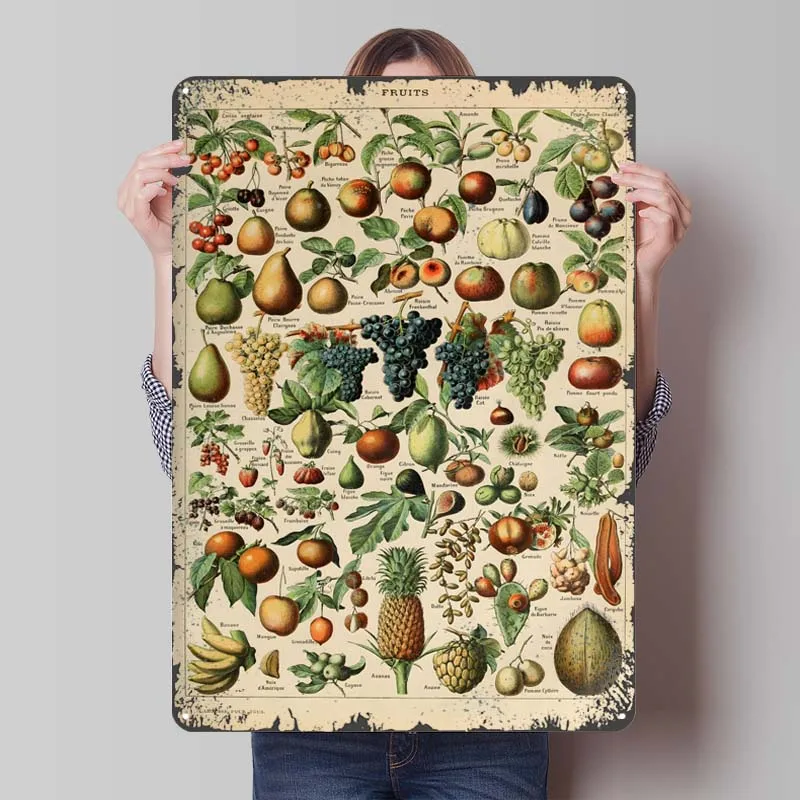 Металлическая вывеска FRUITS от Adolphe Millot забавный постер настенная художественная
